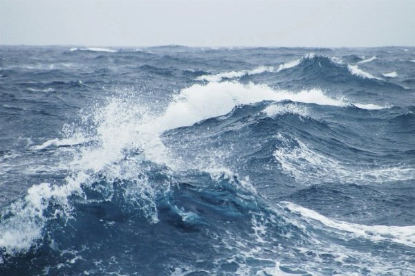 Fisheries Iceland has issued a statement expressing discontent over the trilateral mackerel agreement between Norway, the UK and the Faroes