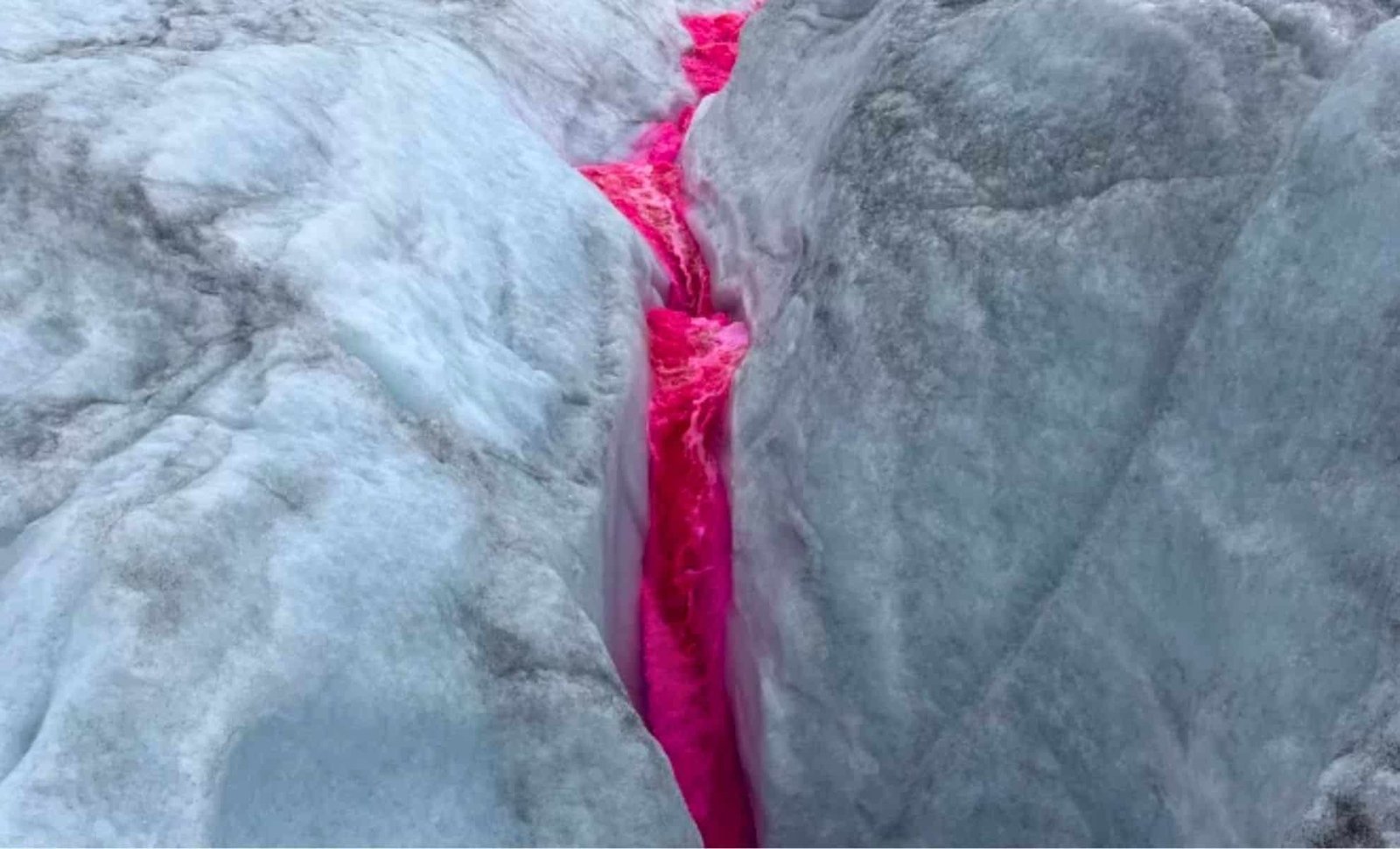 Scientists Dye Rhône Glacier Meltwater Pink to Monitor Rapid Ice Loss