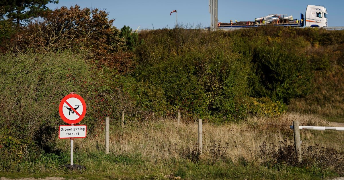 Ukraine begins sharing drone expertise with Denmark deployment, Zelenskyy says