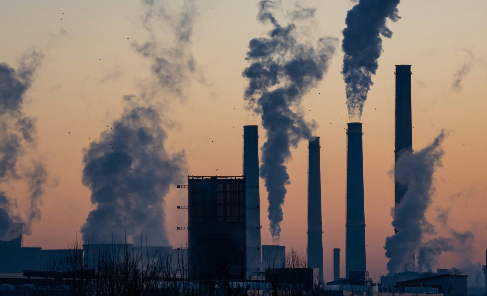 With European Patent Coming Soon, Metisense Explores Markets Abroad