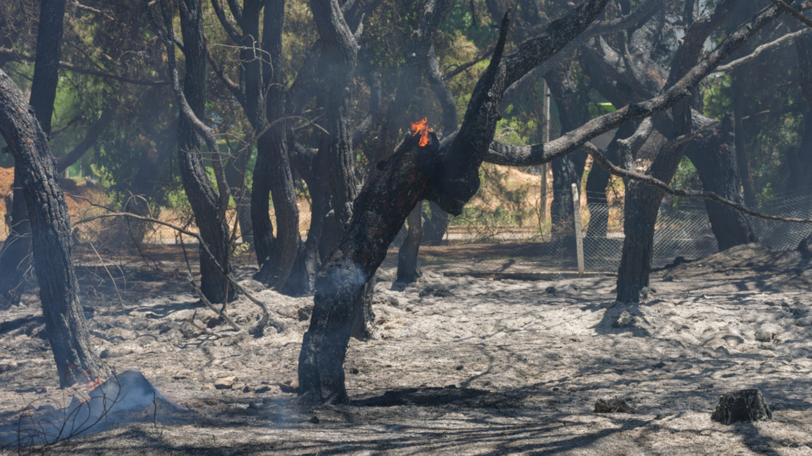 Report says European way of life threatened by environmental degradation