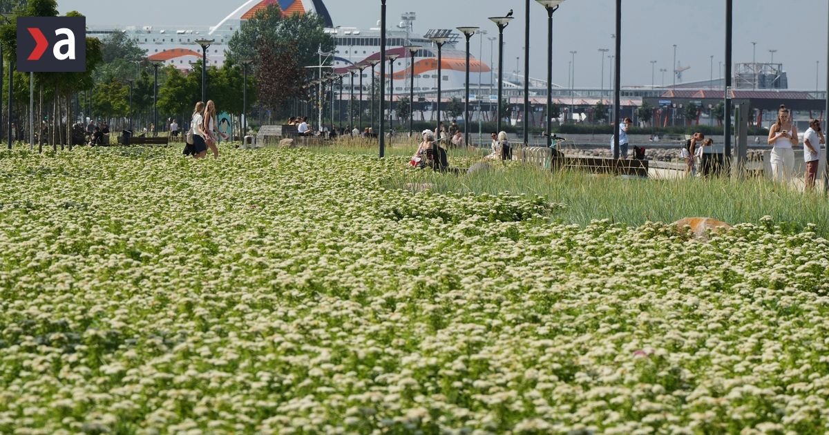 Estonia for the airspace disruption has applied for a UN Security Council meeting - News Room USA