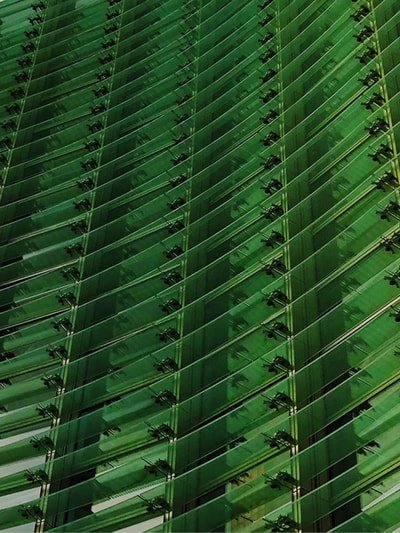 Mayer Brown wins Most Innovative in Sustainability at the Financial Times Innovative Lawyers Awards Europe 2025 | News