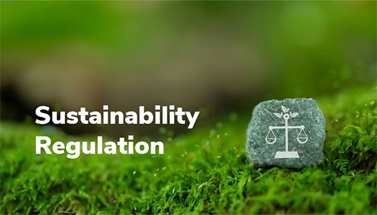 Early movers in sustainability regulation lead the way