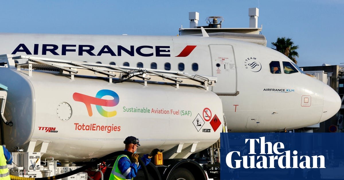 ‘This is real progress’: airlines on sustainable aviation fuels and the chances of net zero flying | Airline industry