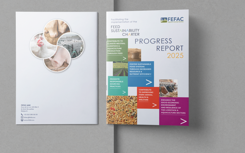 7063-5-a4-magazin-mockups-1024x737