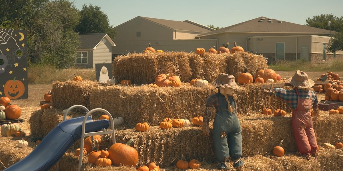 Pumpkin patches return to Bryan-College Station, raising funds for Habitat for Humanity