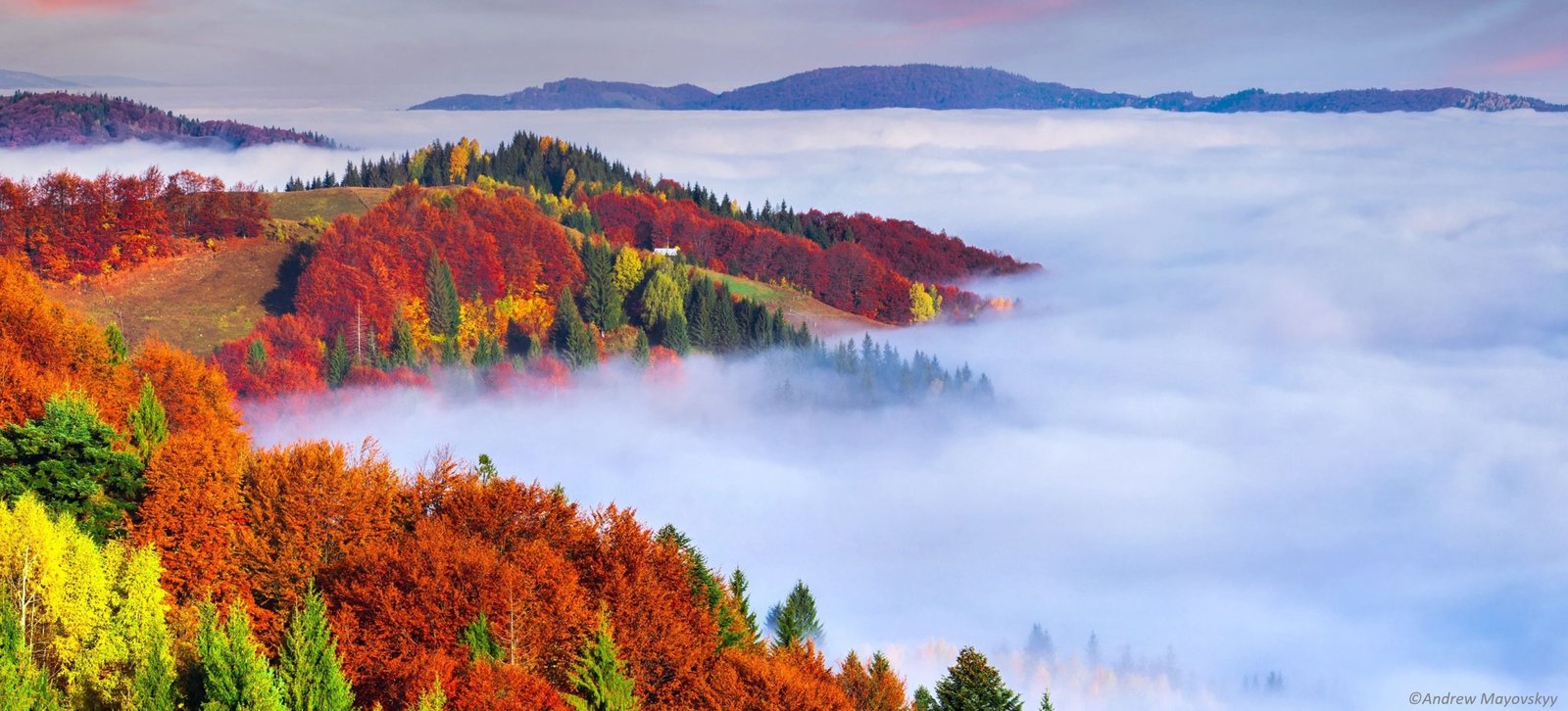 Europe seen as safest global destination thanks to political stability and personal security