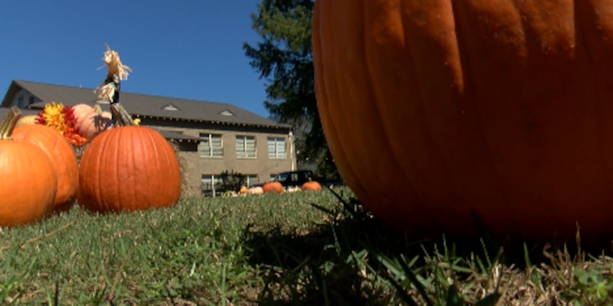 Columbia church raising funds with first-ever pumpkin patch
