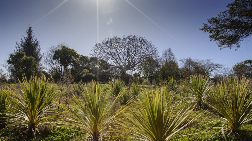 European Union invests into groundbreaking Christchurch environmental projects : Newsline