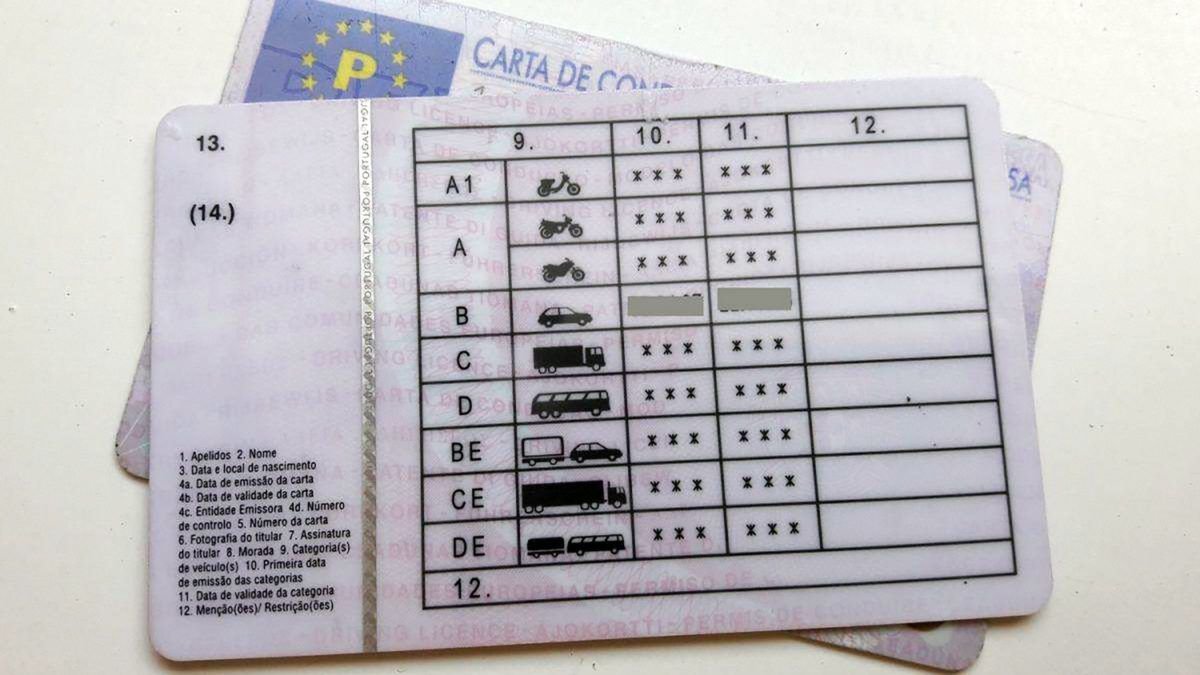 New driving license rules - The Portugal News