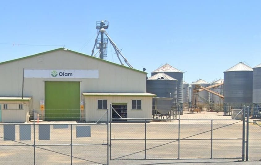 Olam Agri to exit pulse business, sell Mt Tyson