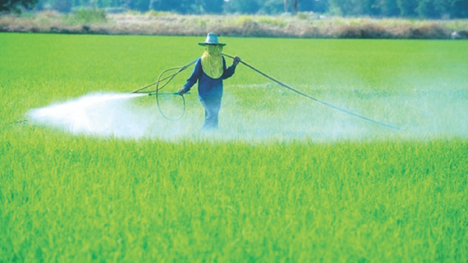 Biological crop protection key to Zim’s export future