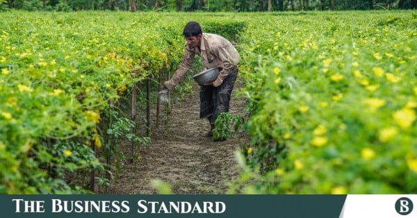 Fixing the broken chain that keeps farmers poor