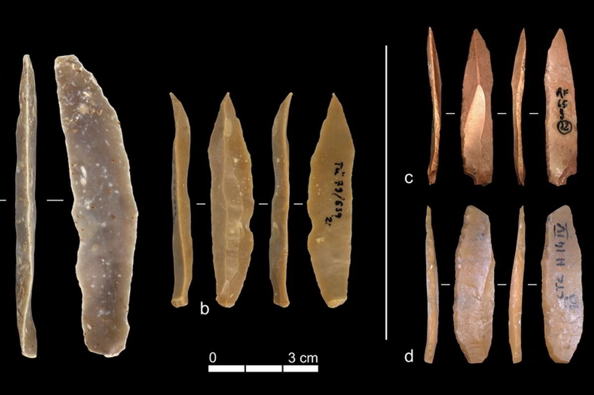 Discover Magazine Logo