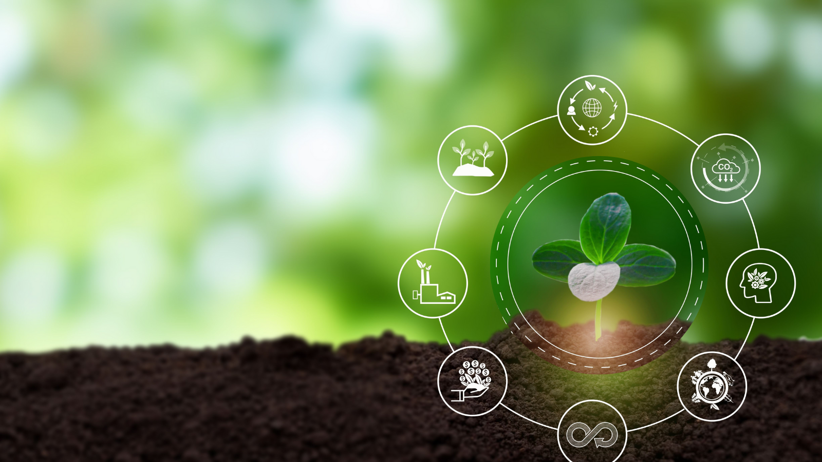 Europe’s Bioeconomy Strategy must be industrial to succeed