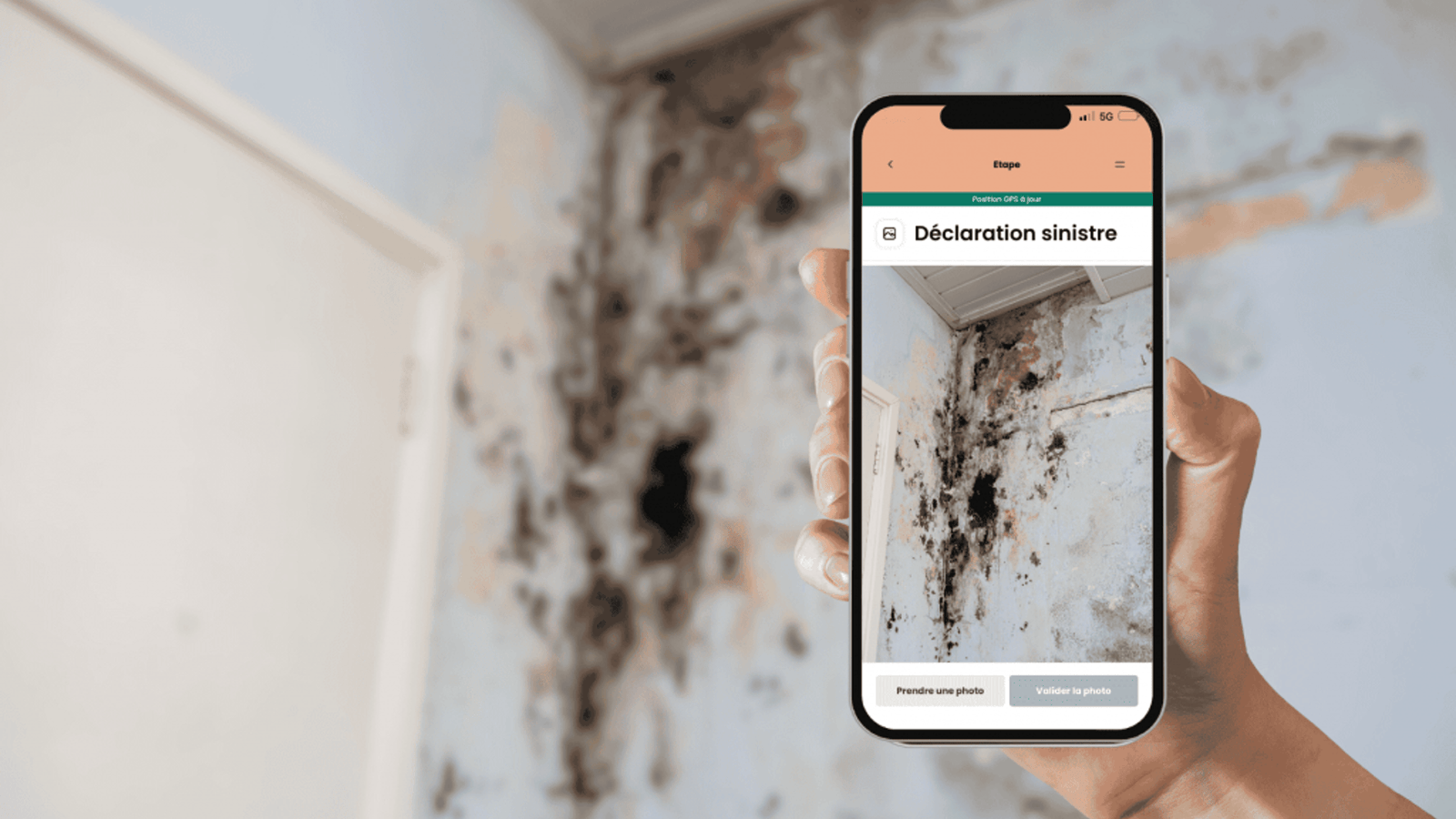 Certificall raises €1M seed to strengthen its position in the European market