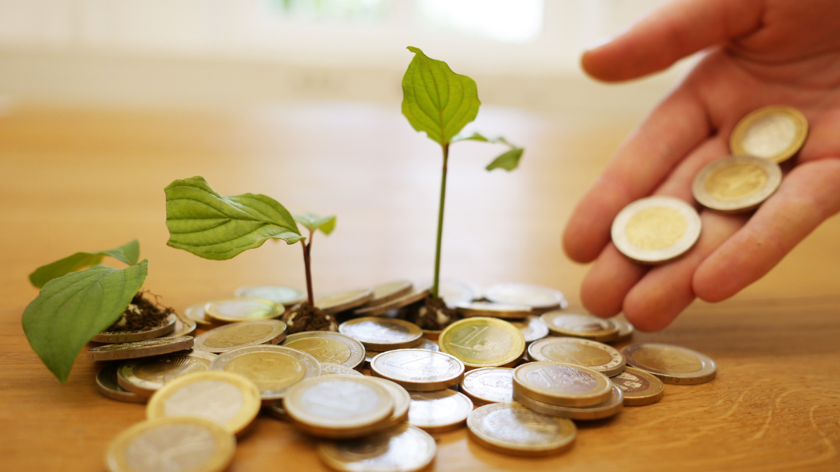 JSW Energy Issues ₹250 Crore Worth of NCDs as Part of ₹3,000 Crore Fundraising Plan