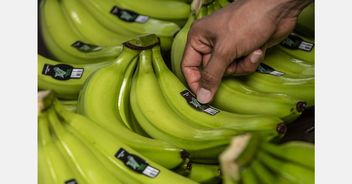 "The North American market provides more stability and fewer restrictions than Europe"