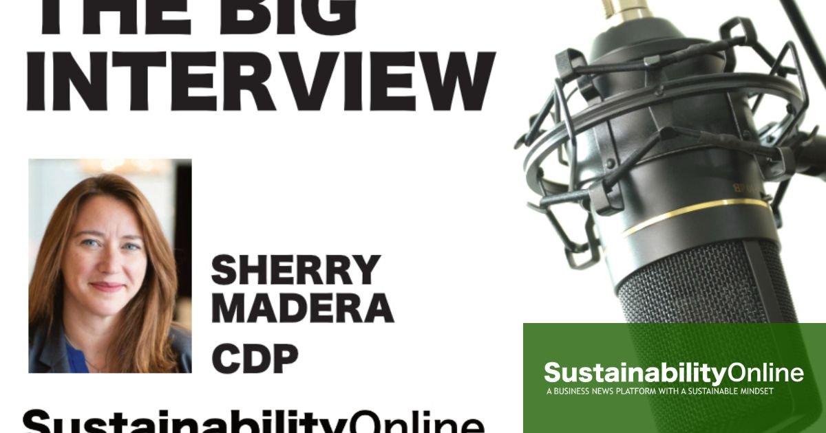 CDP’s Sherry Madera on aligning environmental disclosure with actionable insights