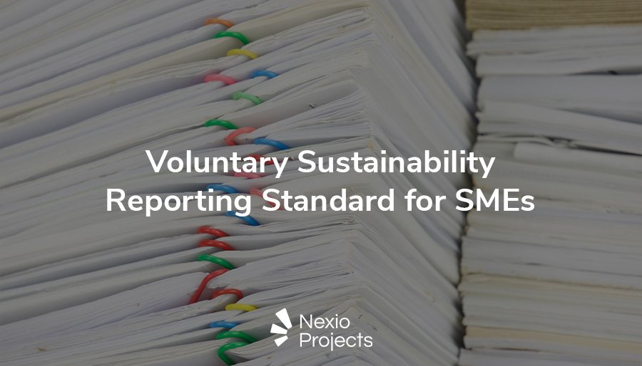 Unpacking the Voluntary Sustainability Reporting Standard for SMEs (VSME)