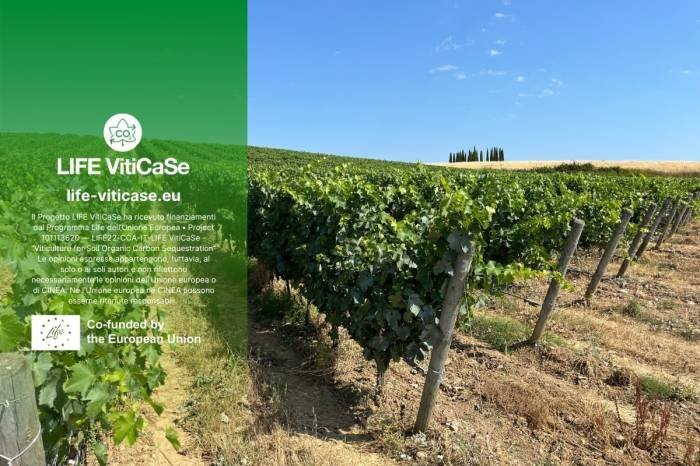 Italian Vineyards Turn to Carbon Farming as EU Project Seeks to Certify Climate-Friendly Wine Production