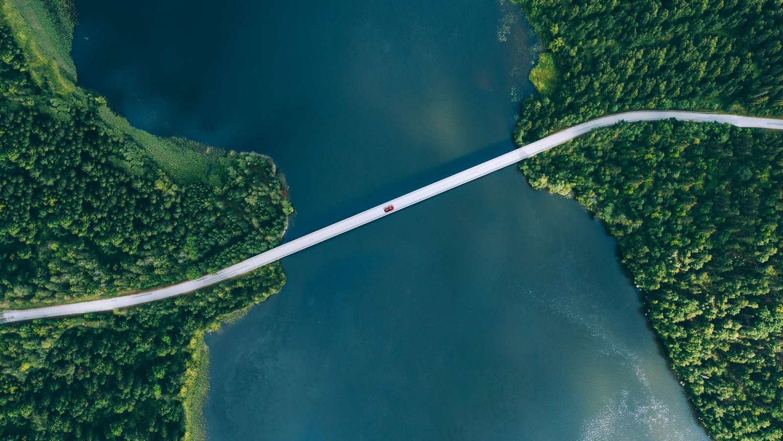 Lead in ESG with SAP-endorsed reporting tools