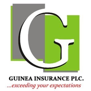 Guinea Insurance Plc
