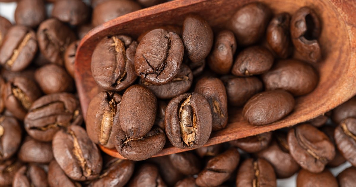 Vietnam’s push for traceability in coffee drives export surge to Europe