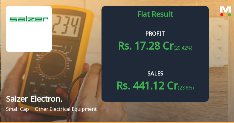 Strong Revenue Growth Masks Profitability Concerns