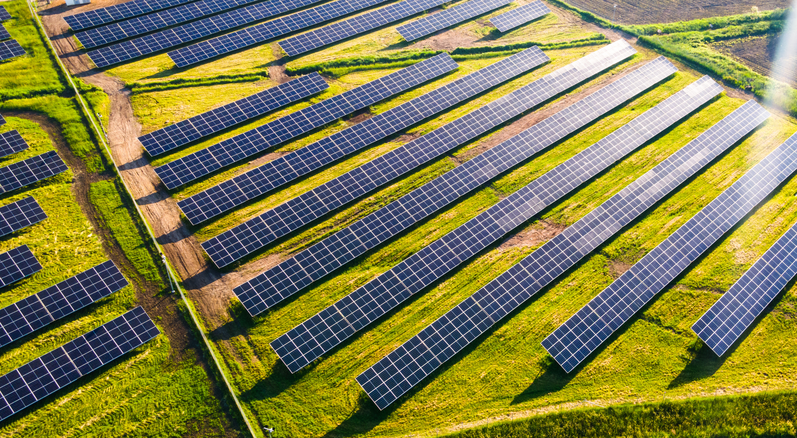 SFDR 2.0: Making labels work for the consumer