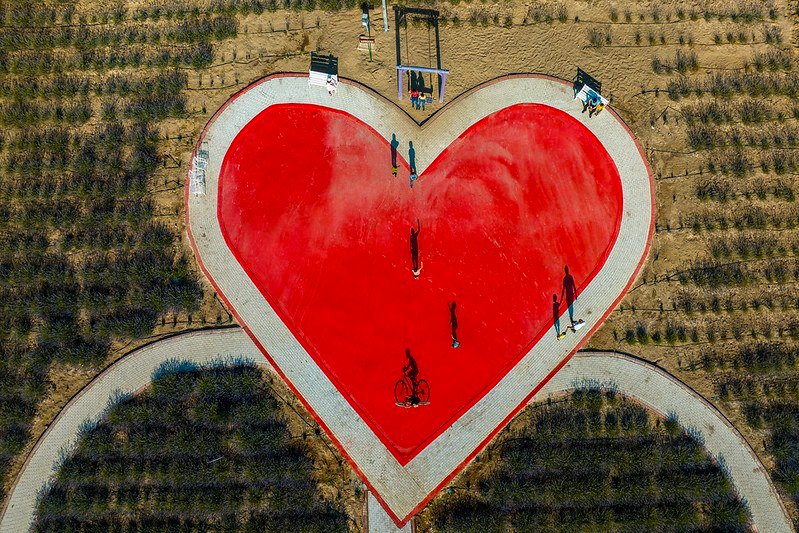 One in five cardiovascular deaths in the EU, preventable by improving the environment | Press releases