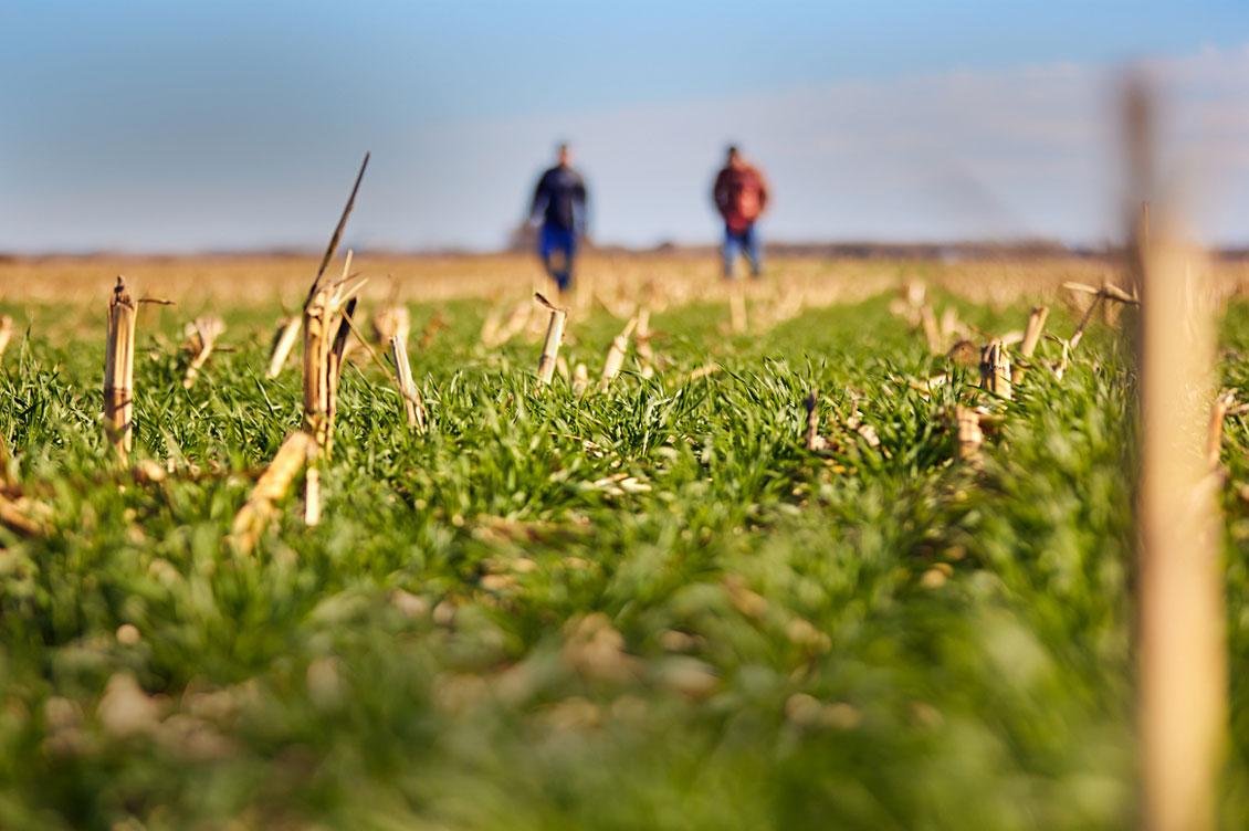 Scaling Regenerative Agriculture Across Europe