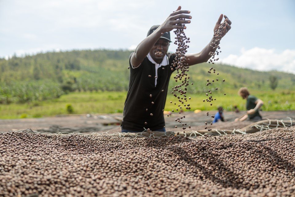 East Africa risks €2.75B in farm exports as EU traceability rules expose major compliance gaps