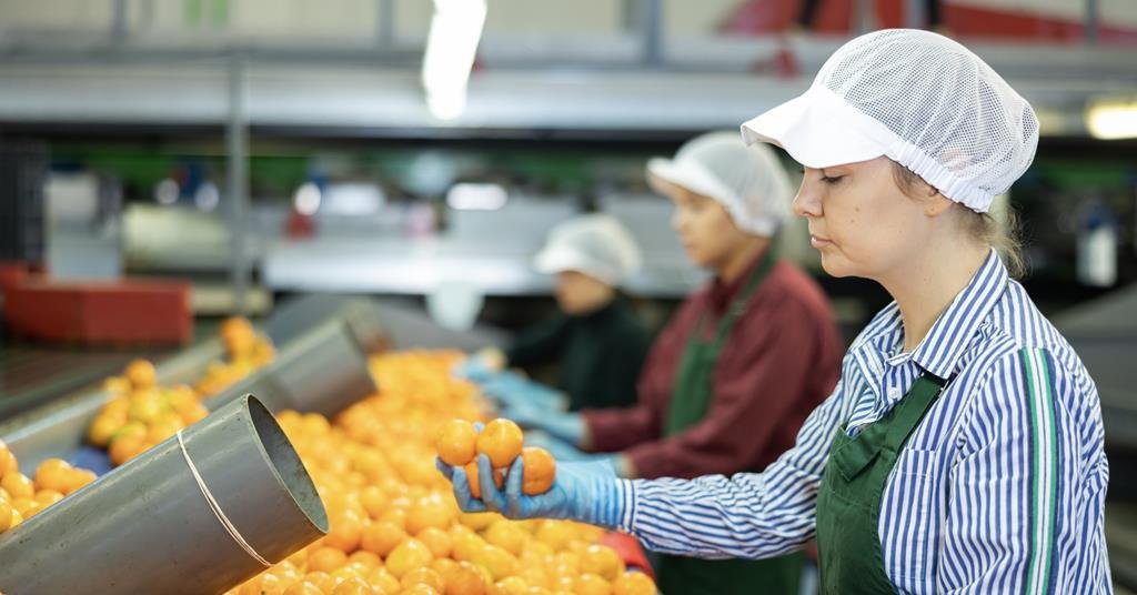 South African citrus industry sustainability ESG compliance Albert Coetzee Citrus Growers Association