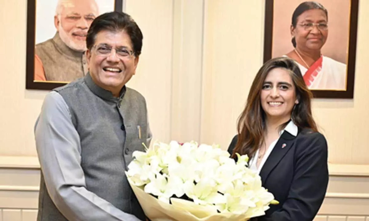 Commerce Ministry lists progress on free trade pacts, robust startup growth