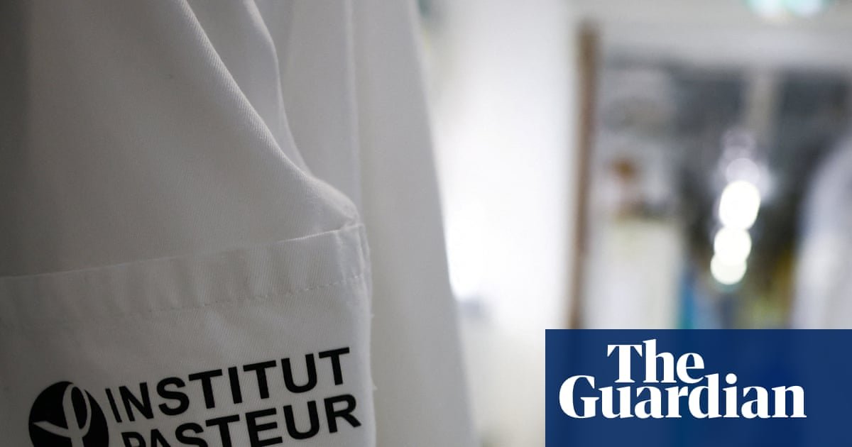 As NHS braces for record flu cases, is the strain active in continental Europe too? | Flu