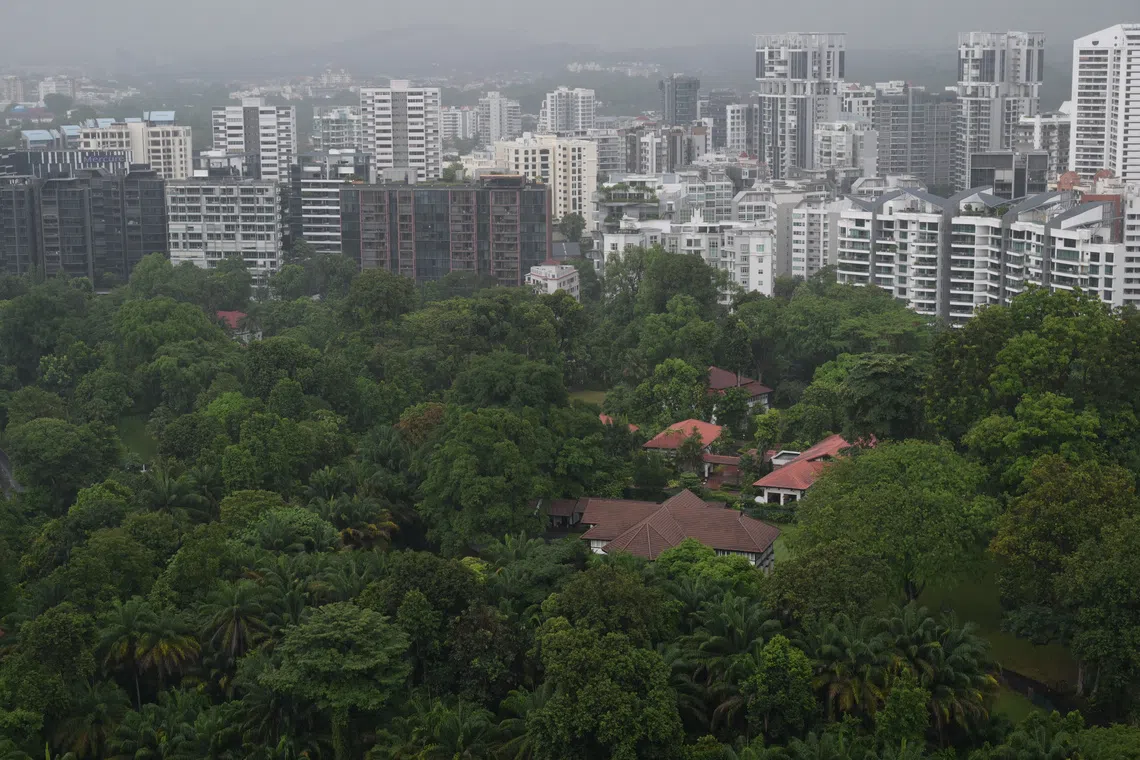 Subscribe Placeholder