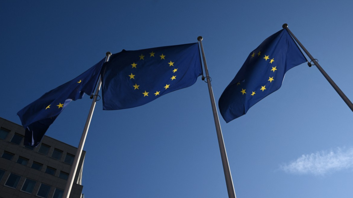 EU slams US travel bans on Europeans over tech regulations