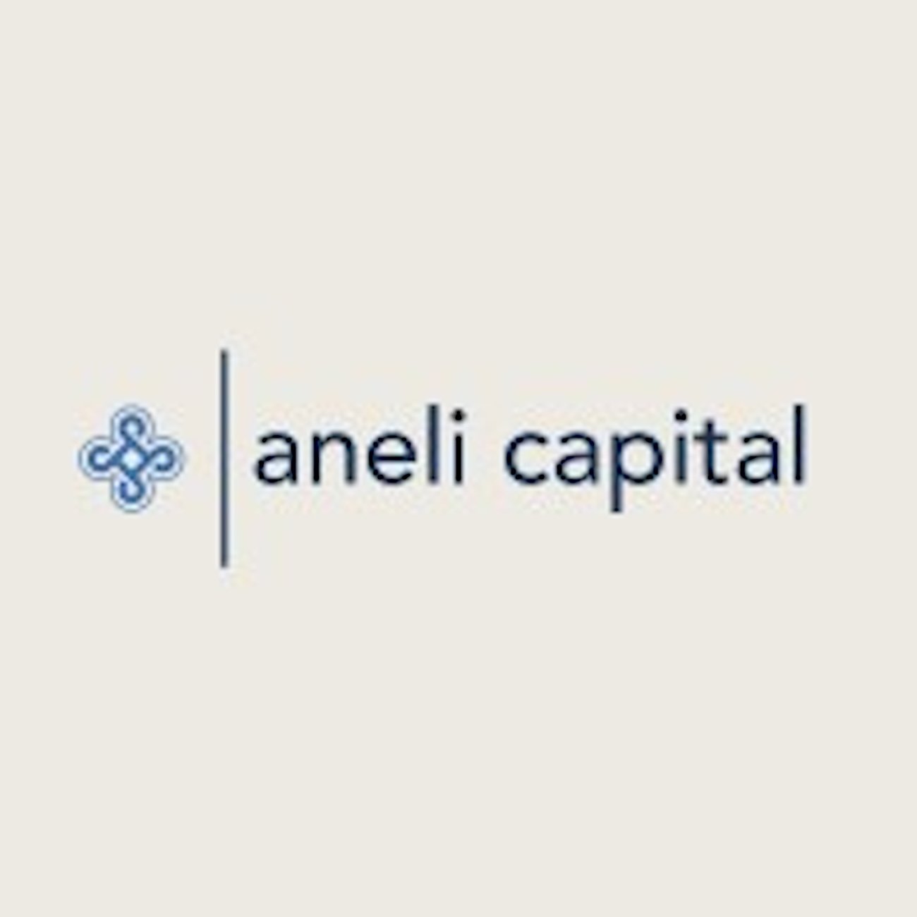Aneli Capital Launches €35 Million Early Stage Venture Fund For Baltic And CEE Startups