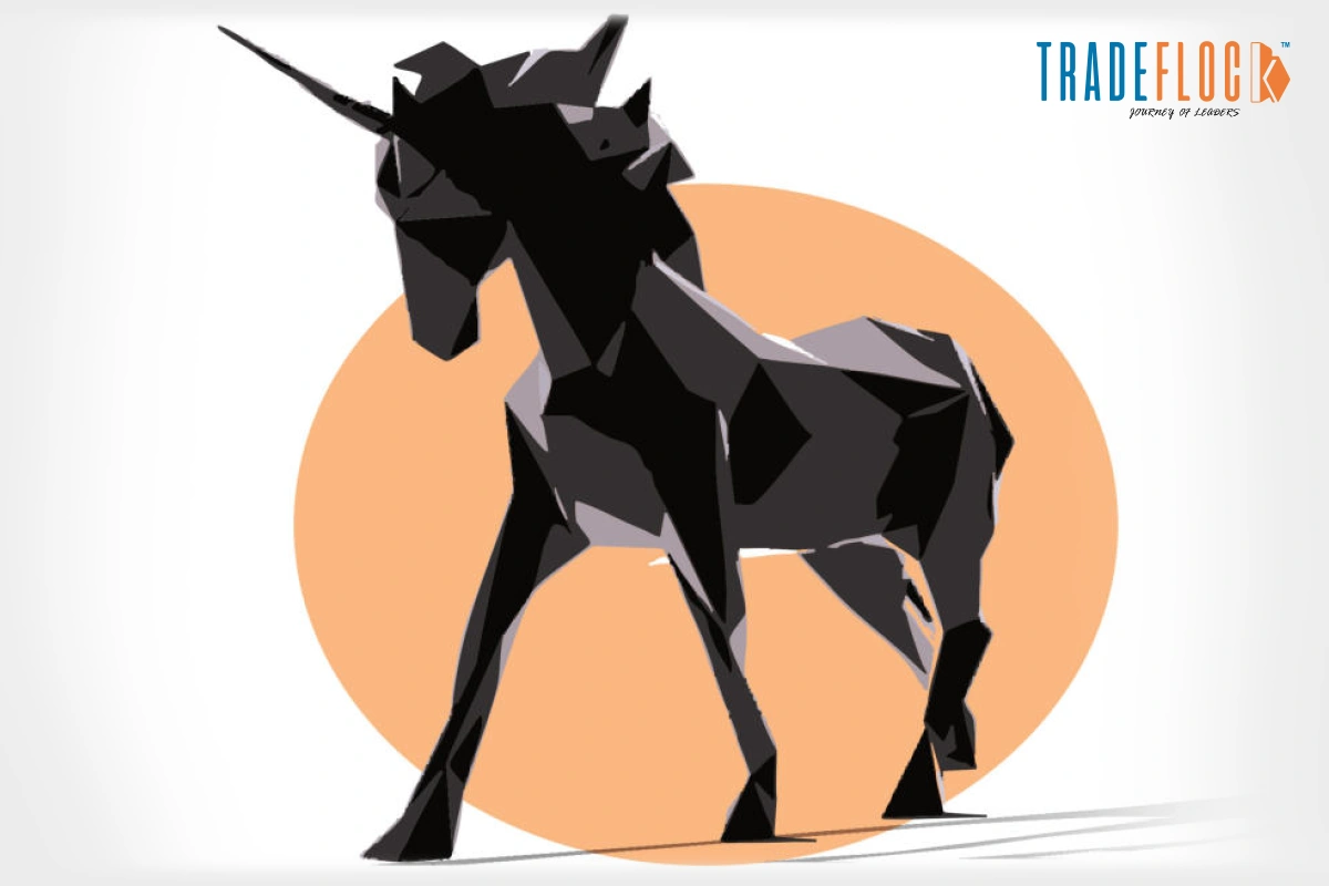 From Unicorns to Cautionary Tales: The Rise and Fall of Billion-Dollar Startups