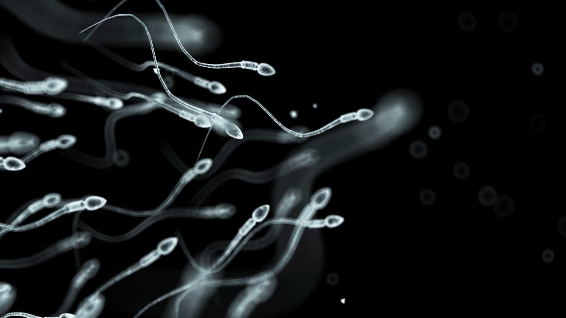 Sperm donor with rare cancer mutation fathered nearly 200 children in Europe