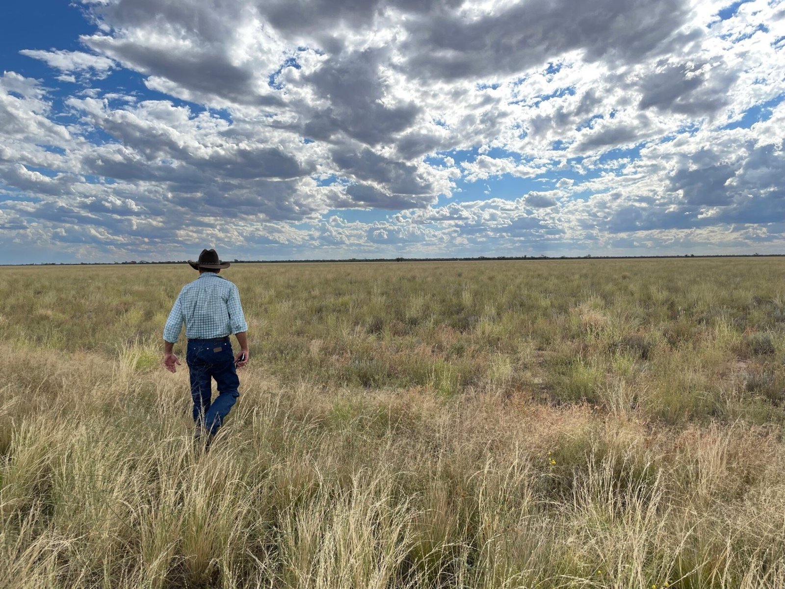 a look back at agtech in 2025