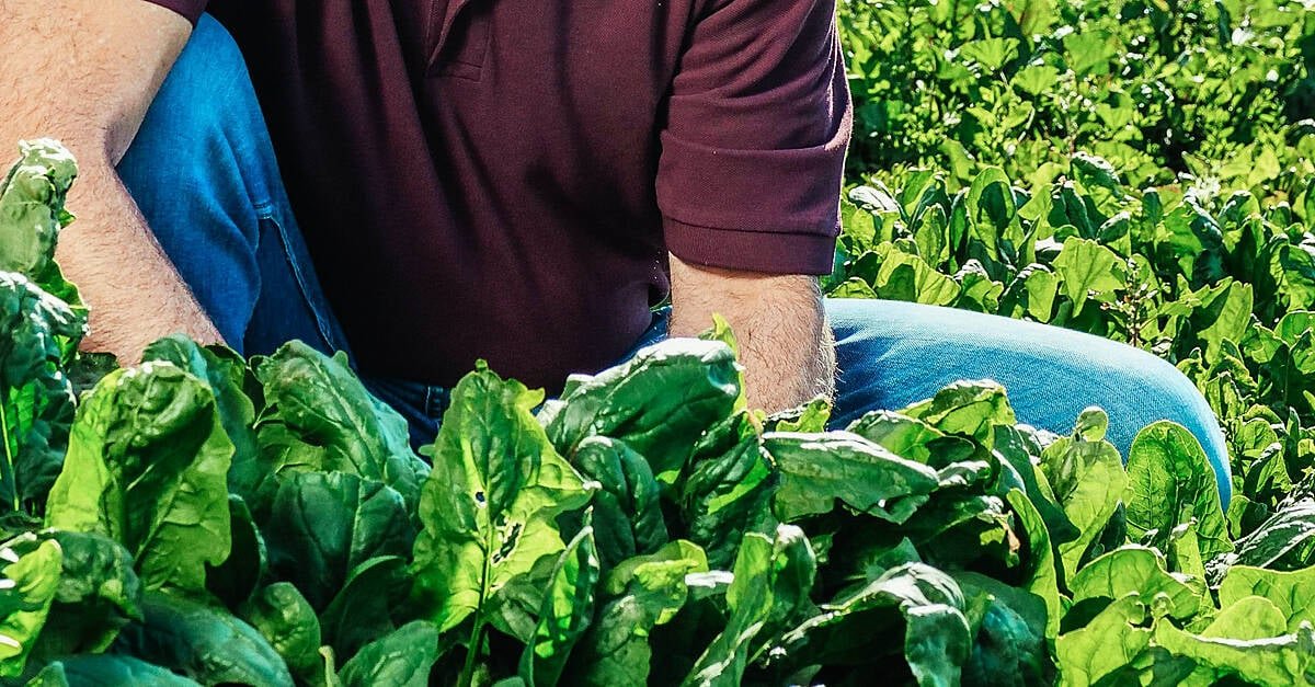 Agricultural Goods Prices Rose In The EU This Year