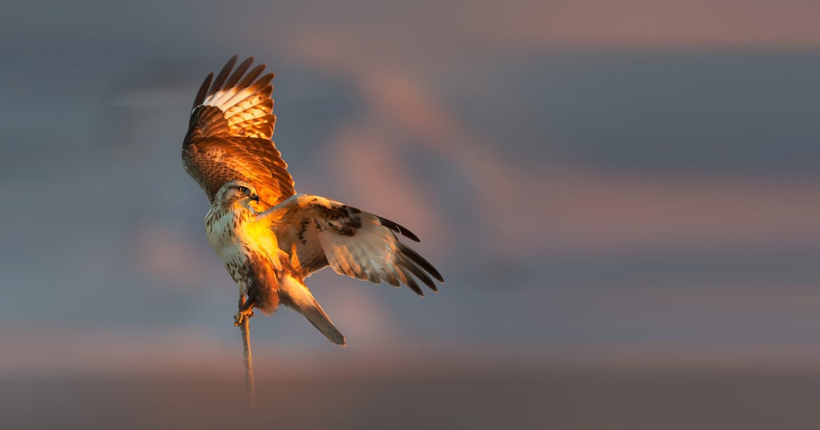 Europe - Don’t turn your back on nature