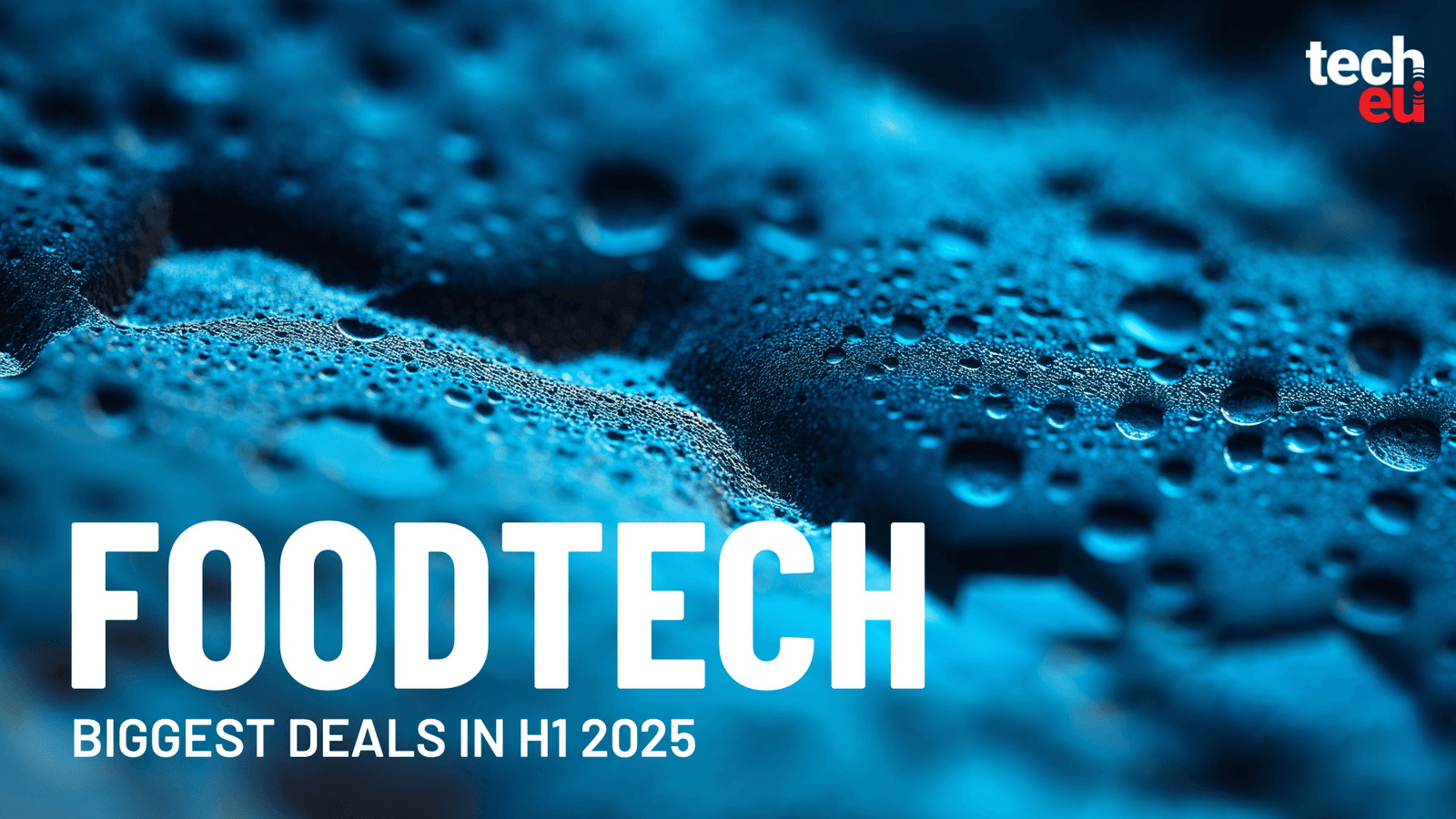 The biggest European foodtech deals in H1 2025