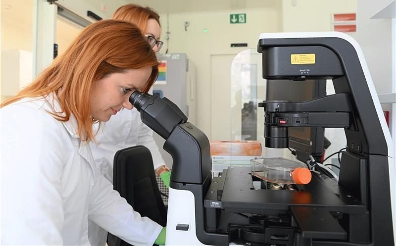 EU invests €14 billion through Horizon Europe to boost global research and innovation leadership