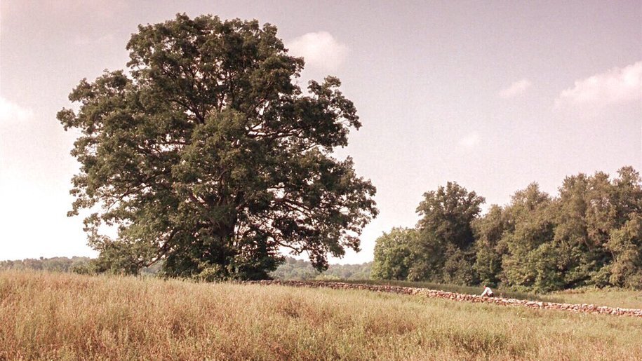 Evening Shade---Resistance Rising---Sunday, December 7, 2025