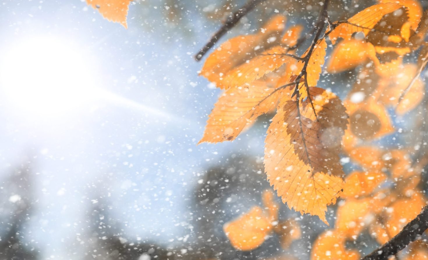 How to fix ESG reporting