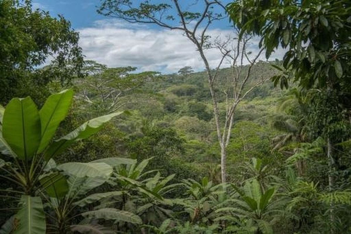 Europe And UK Embrace Bold New Sustainability Initiatives